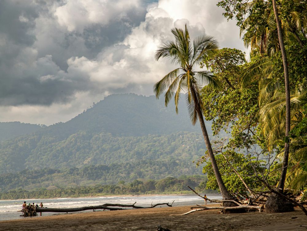 Bahia Ballena