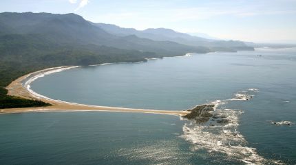 Plage en queue de baleine - Parc Marino Ballena